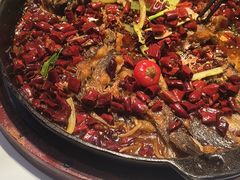 -老板恋上鱼(高新万达店)