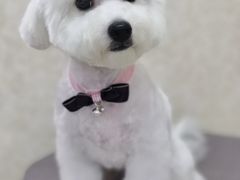 -乐琪宠物(青塔西路店)