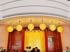 -罗浮山嘉宝田森林温泉度假酒店