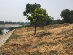 -北运河水利风景区