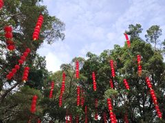 -晓港公园