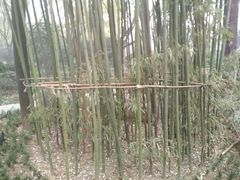 -唐城墙遗址公园