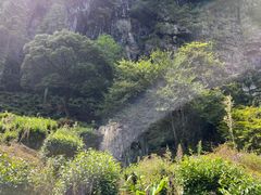 -石台牯牛降景区