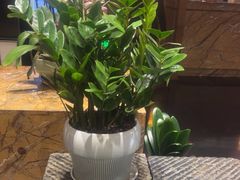 -黔蘑菇四季餐厅(观山湖店)