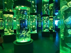 -石林冰雪海洋世界