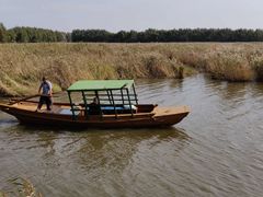 -白渔泡湿地公园