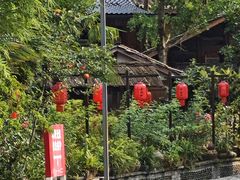 -青城甲(青城山店)