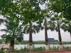 -洛龙公园