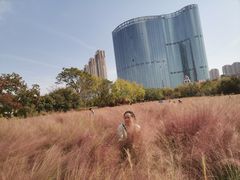 -艾溪湖湿地公园