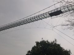 -武汉紫薇都市田园