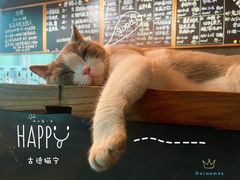 -后院儿·精酿·塔罗Happy Bar