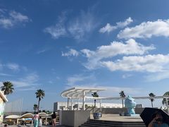 -碧海金沙