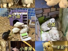 -弘阳·未来世界(弘阳广场店)