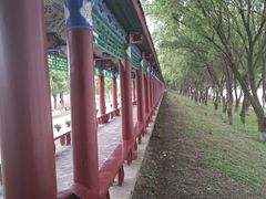 -洪湖生态旅游区