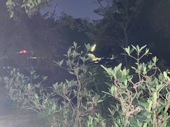 -范蠡湖公园