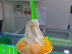 -Salud撒露欧洲冻酸奶(五道口购物中心店)