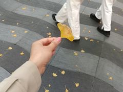 -知味观(湖滨总店)