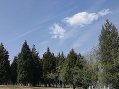 -北京麋鹿生态实验中心