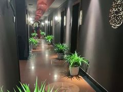 -金狮麟·新豫菜(杏石口路店)
