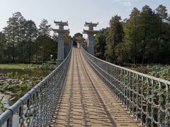 -东湖落雁景区