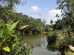 -深圳仙湖植物园-停车场