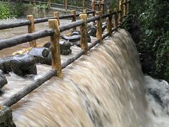 -王顺山国家森林公园