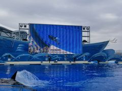 -上海海昌海洋公园