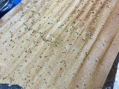 -勃利地摊·勃立小串烧烤