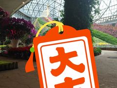 -花之城