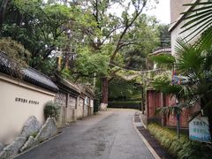 -北极阁公园