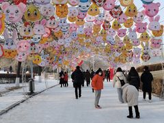 -沈阳奥体冰雪嘉年华