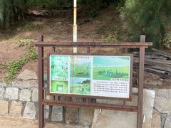 -宋井风景区
