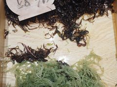 -印象天台·非遗文化美食