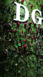 -V8潮牌·接发烫染连锁