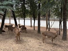 -观唐（国际）度假村温泉