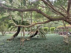 -广东温泉宾馆