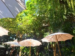 -Fern Forest Cafe
