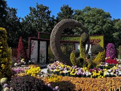 -上海共青森林公园