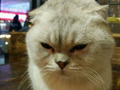 -MIKAKU(万达广场上海宝山店)