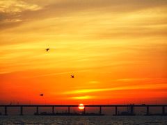 -宝安西湾红树林湿地公园