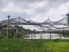 -鄱阳湖国家湿地公园