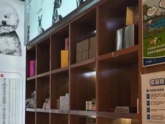 -可蒙动物医院·猫科·骨科中心(首义路店)