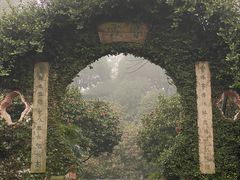 -南山植物园