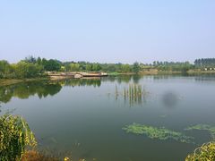 -东郊湿地公园