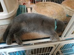 -小时光咖啡馆(北锣鼓巷店)