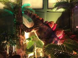 点击看大图 -恐龙探索乐园(磁器口店)