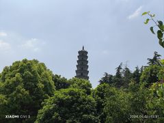 -祥源·阜阳生态乐园