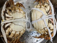 -黄记大闸蟹专卖店·活蟹·醉蟹