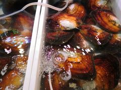 -十八字金·银饰·拼豆·开蚌DIY(魏公芳华里店)