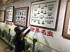 -上海昆虫博物馆